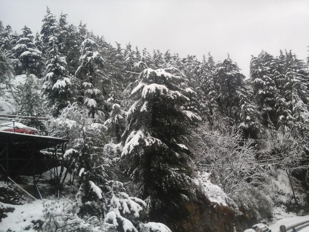Shimla View Home Ngoại thất bức ảnh